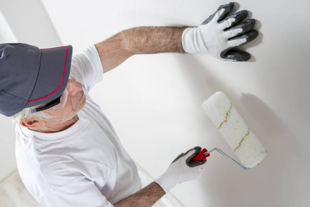 Best Mold Damage Restoration  in Sarand, AL