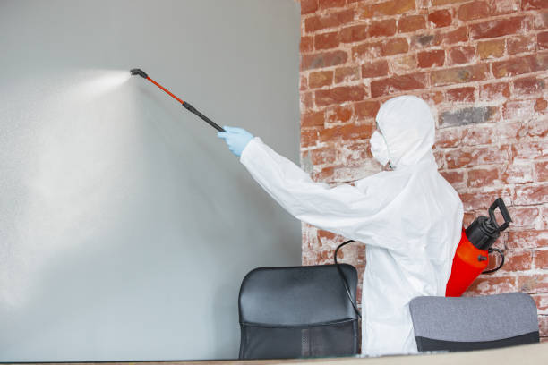Best Mold Odor Removal Services  in Sarand, AL