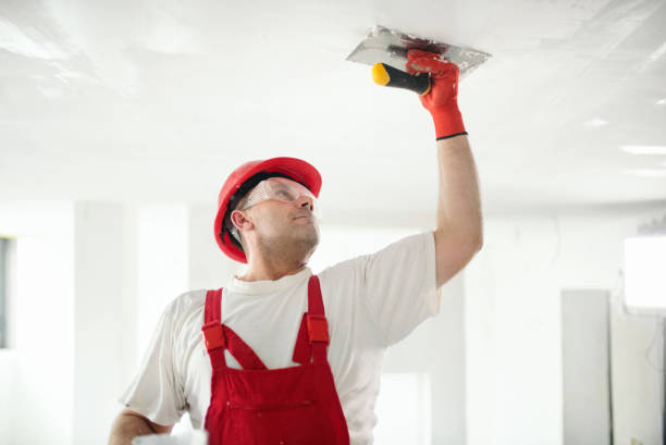 Best Mold Remediation for Healthcare Facilities  in Sarand, AL