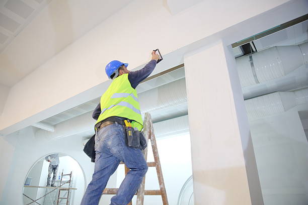 Environmental Consulting for Mold Prevention in Saraland, AL