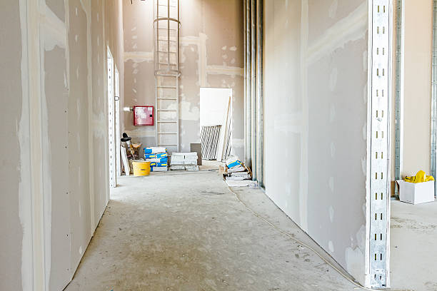 Best Basement Mold Removal  in Sarand, AL